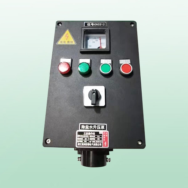 三防控制箱2燈2鈕表1轉(zhuǎn)換開(kāi)關(guān)